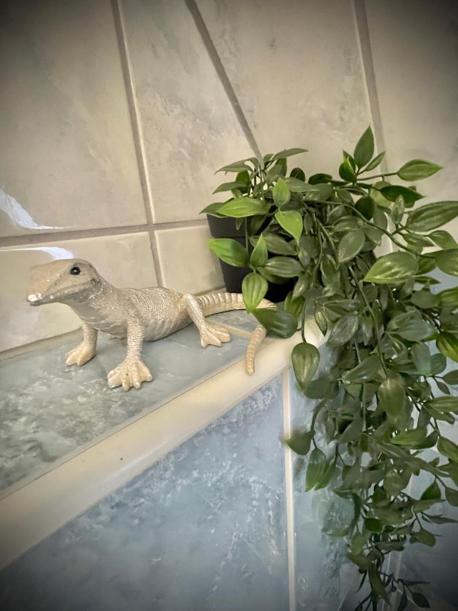 Casa Jungle Glanz Deluxe Apartment Sigmaringen Luaran gambar
